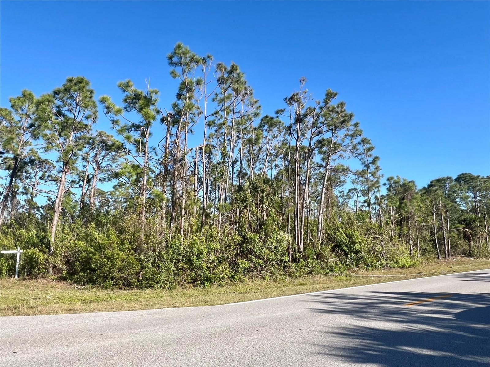 Image 14 of 26 For 15249 Red Head Avenue