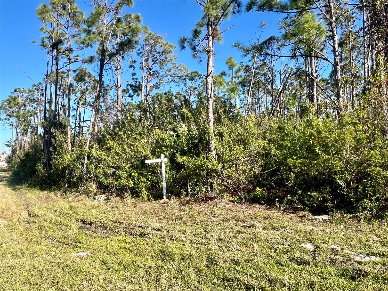 Image 4 of 26 For 15249 Red Head Avenue