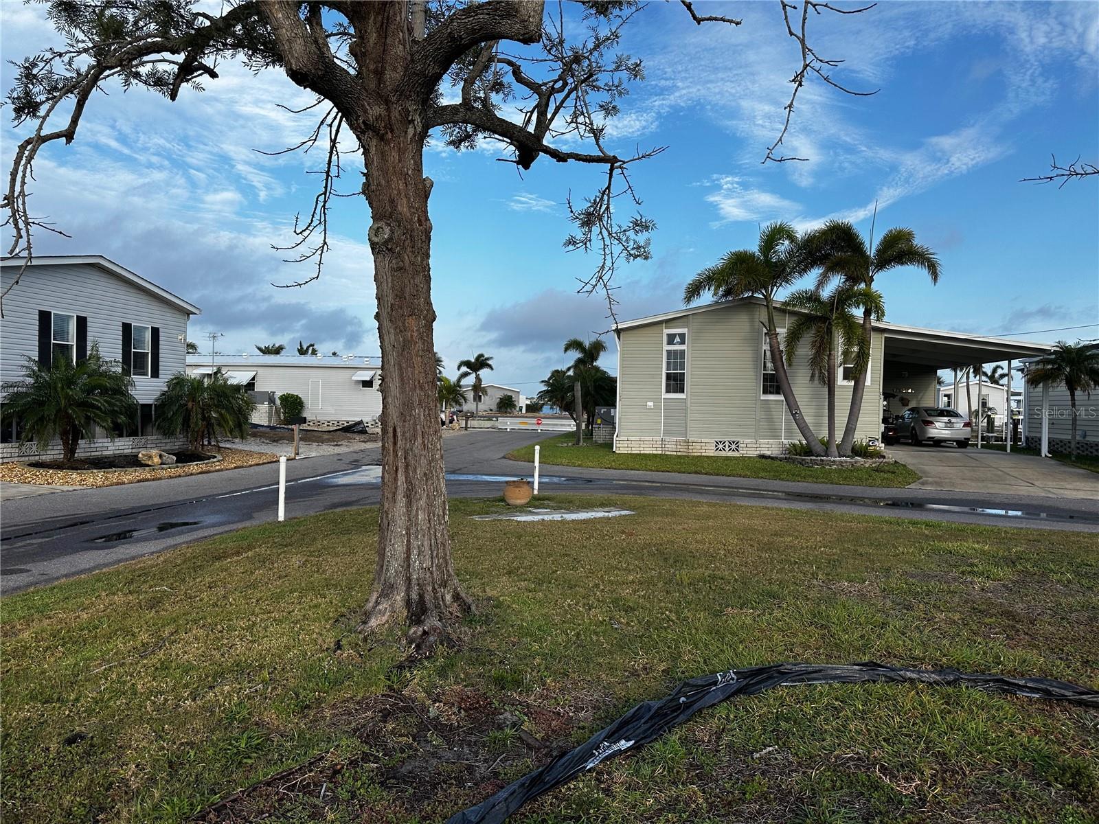 Image 8 of 10 For 269 Jamaica Drive