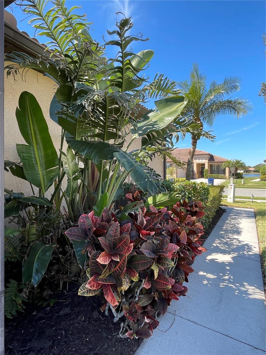 Image 3 of 34 For 11331 Bertolini Drive