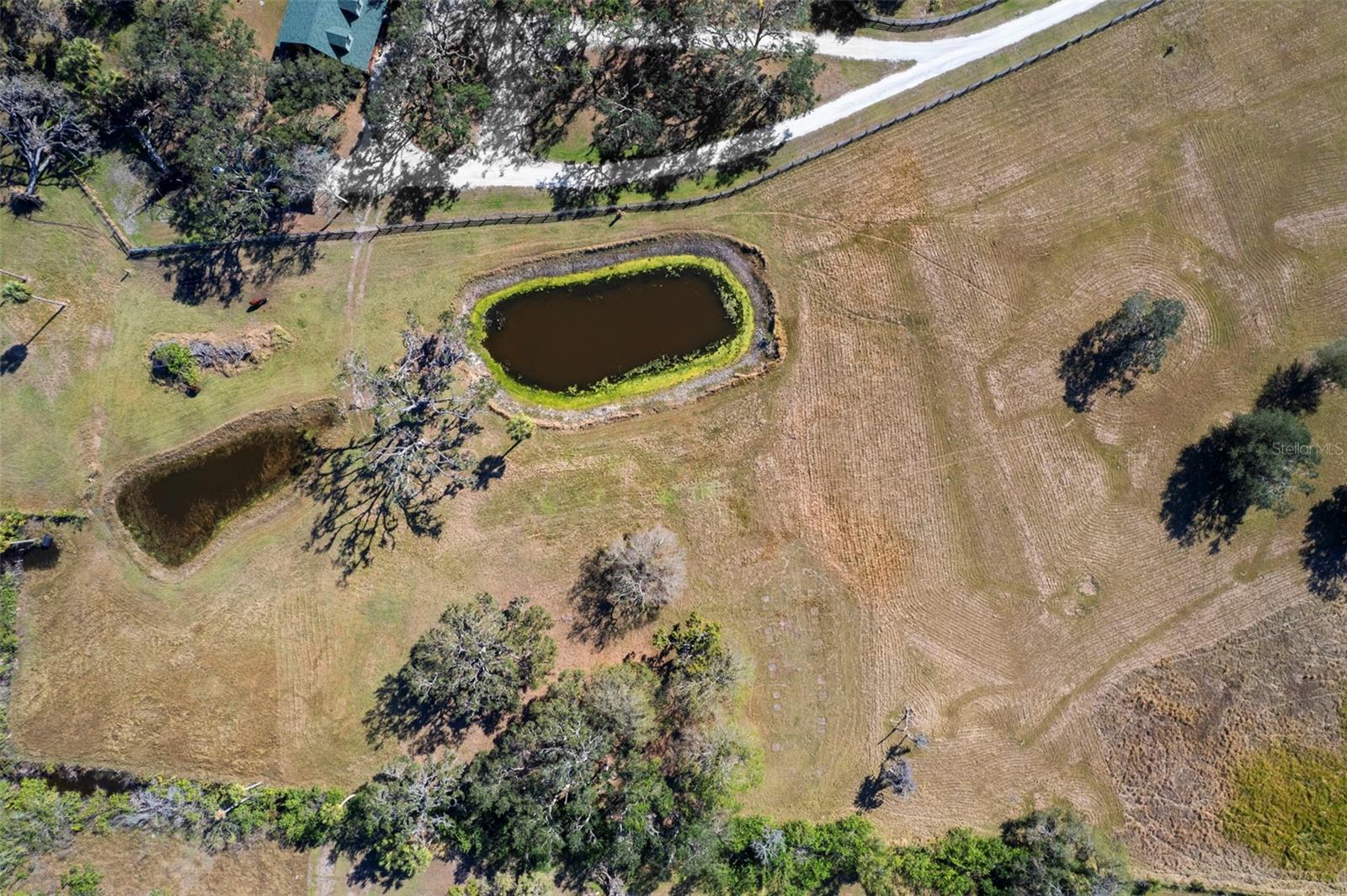 Details for 7000 Us 19  , TERRA CEIA, FL 34250