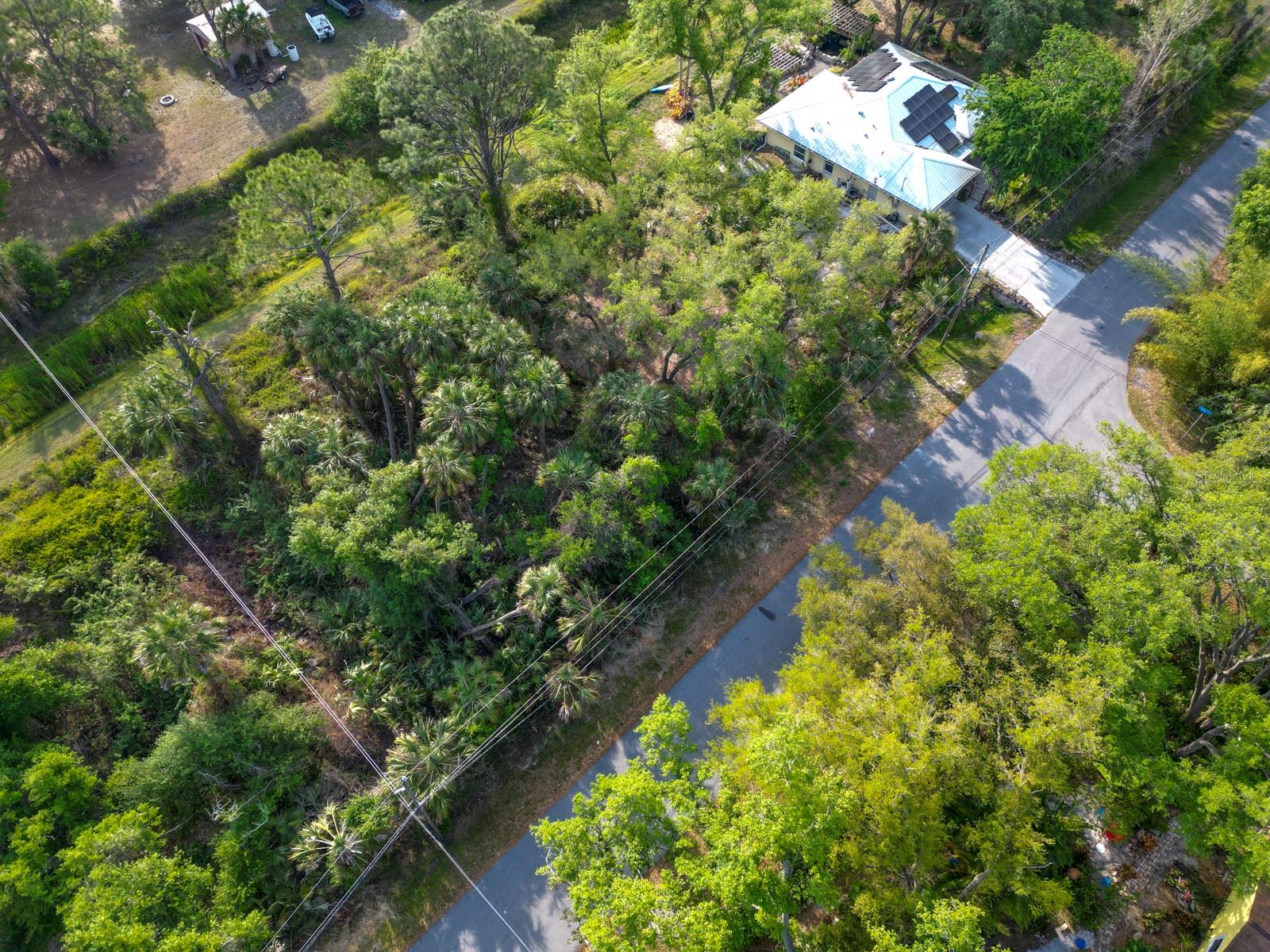 Image 4 of 7 For Galambos Street
