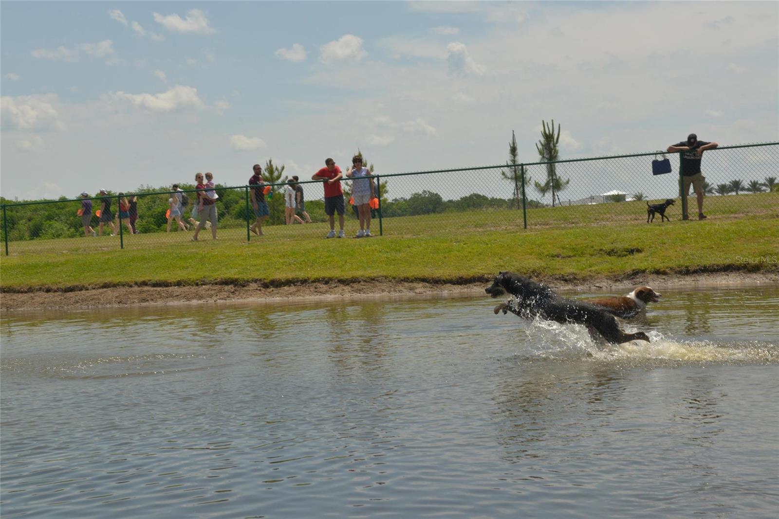 Image 84 of 94 For 11716 Strandhill Court