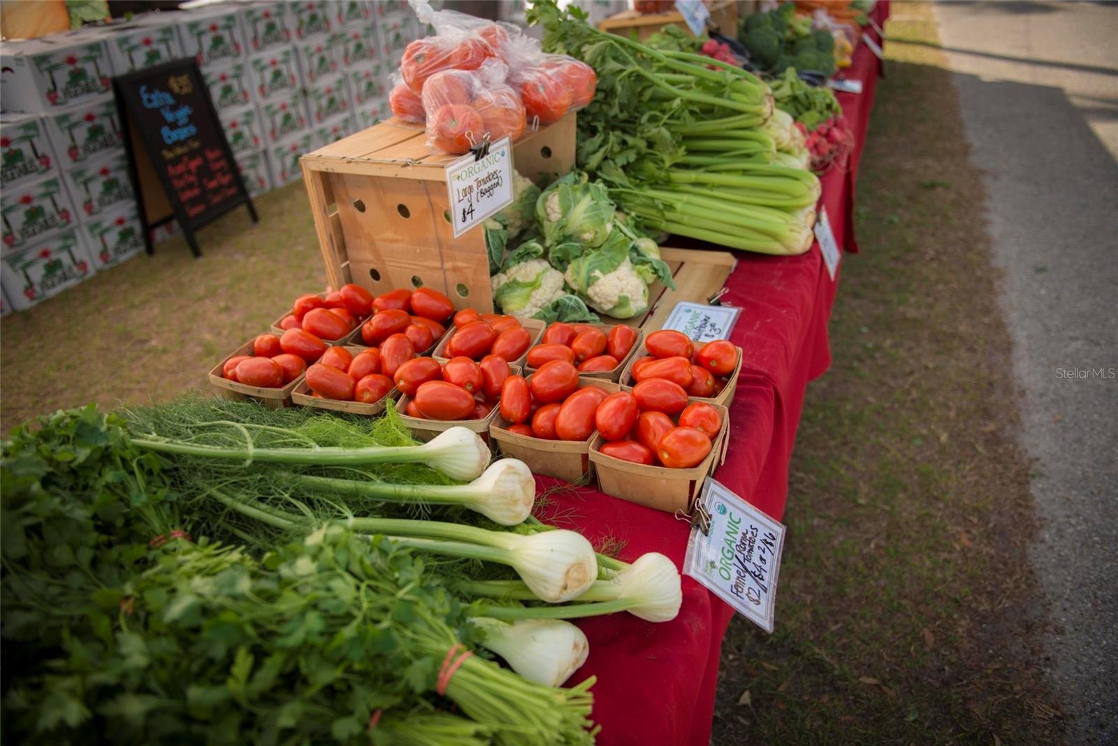 Image 88 of 94 For 11716 Strandhill Court