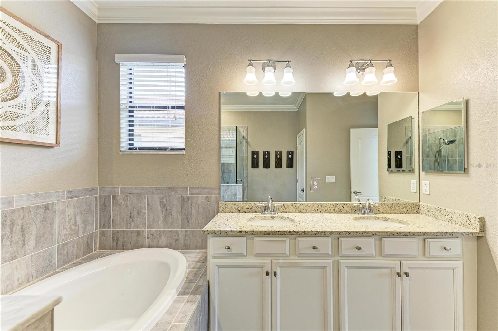 Image 33 of 95 For 10015 Marbella Drive