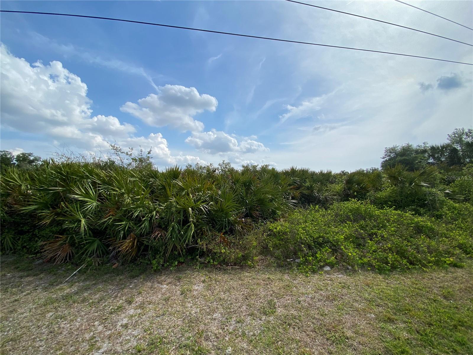 Image 2 of 4 For Americana Avenue