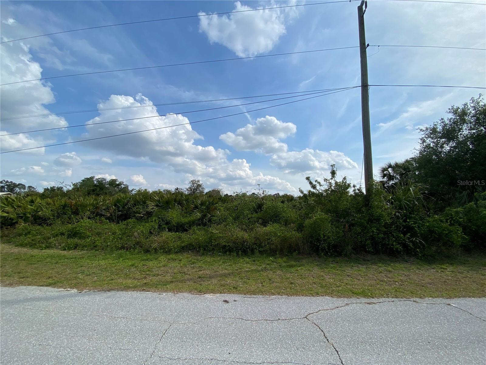 Image 3 of 4 For Americana Avenue