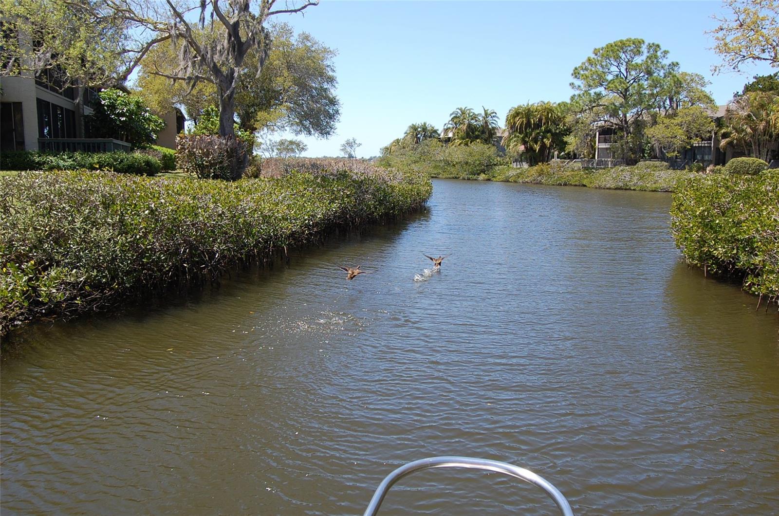 Image 43 of 49 For 1512 Pelican Point Drive Ba264