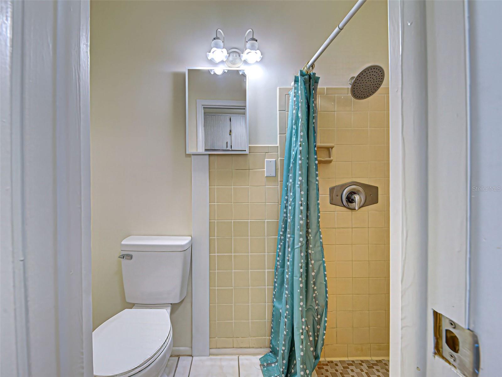 Image 46 of 68 For 441 Venetia Avenue