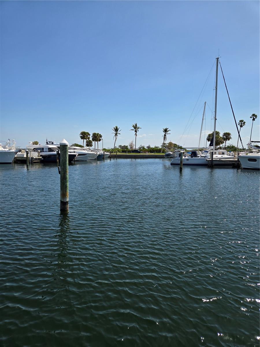 Image 24 of 27 For 2800 Harbourside Drive Drive D-19 D-20