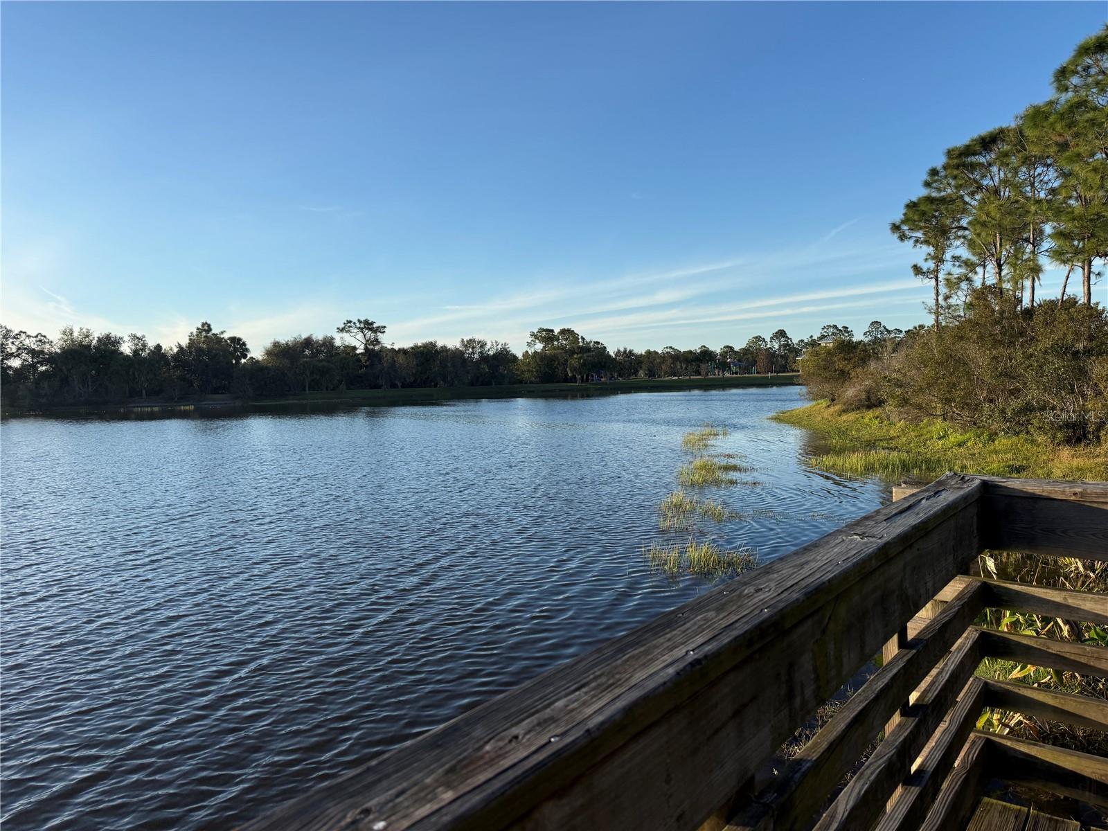 Image 86 of 90 For 12272 Stuart Drive