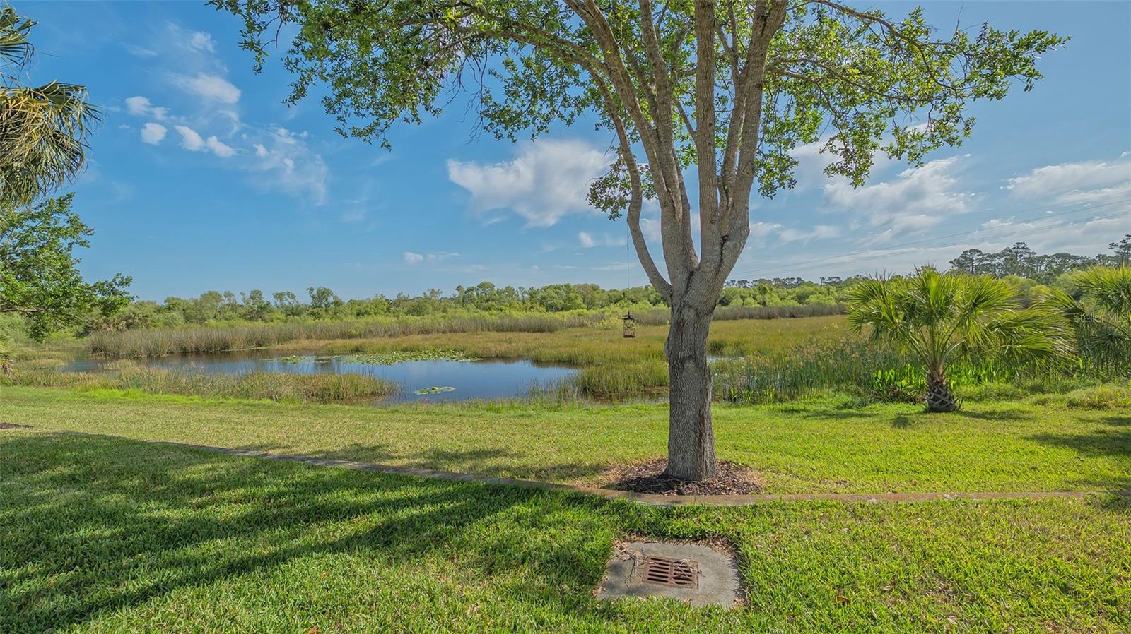 Image 31 of 43 For 5934 Guarino Drive