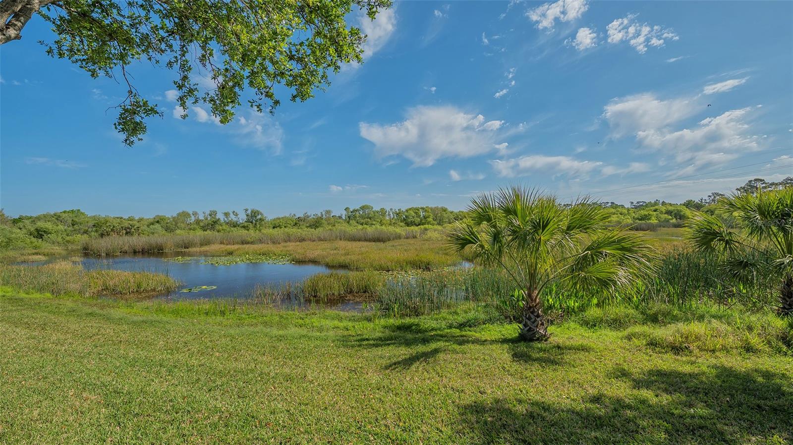 Image 33 of 43 For 5934 Guarino Drive