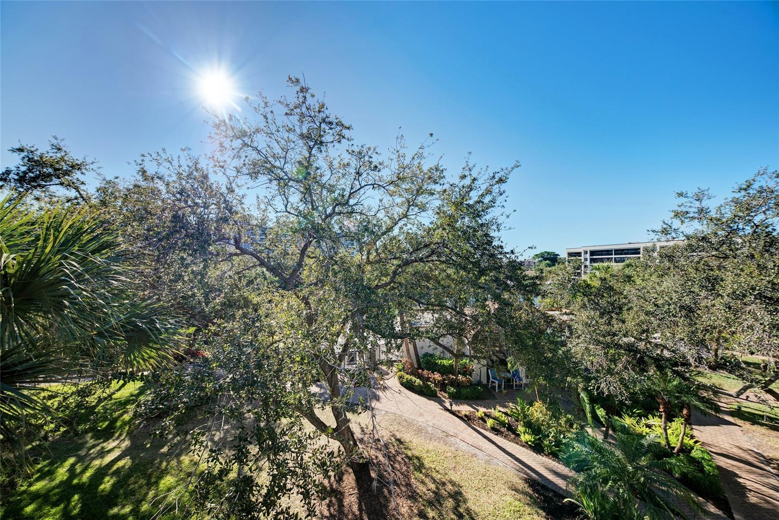 Listing photo id 23 for 1500 Cove Ii Place 524