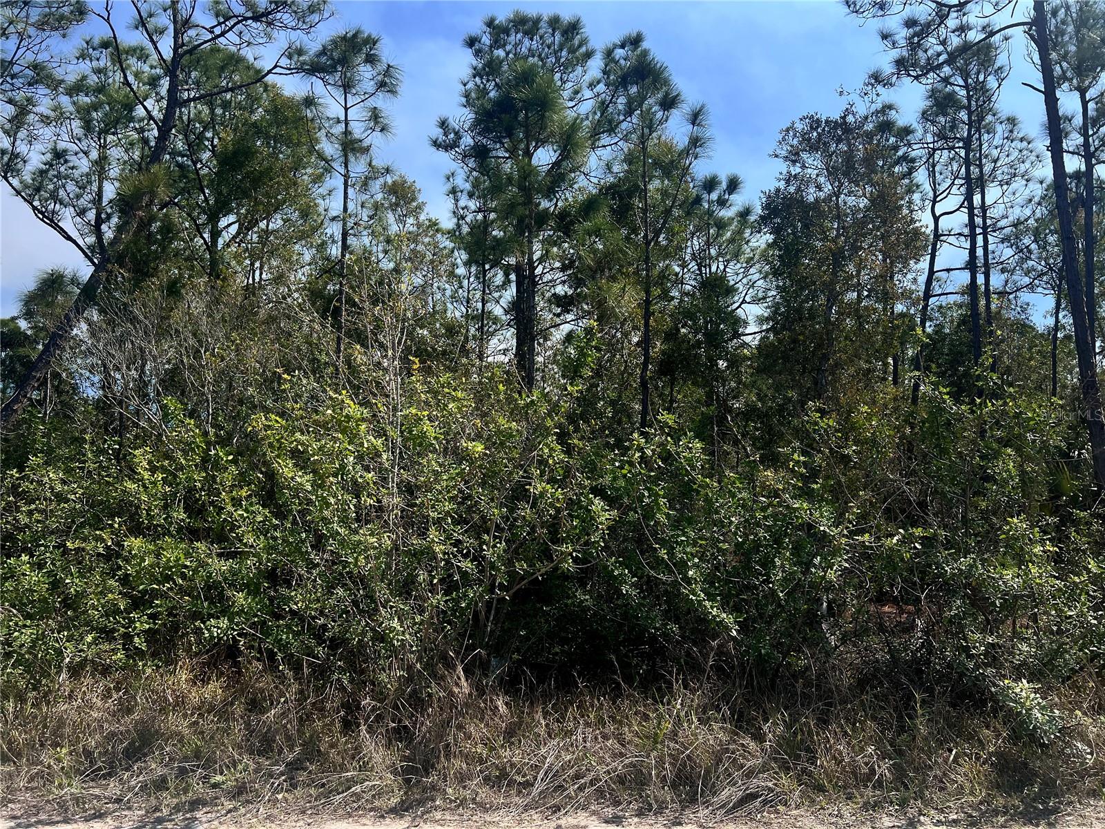 Image 2 of 6 For 8158 Gewant Boulevard