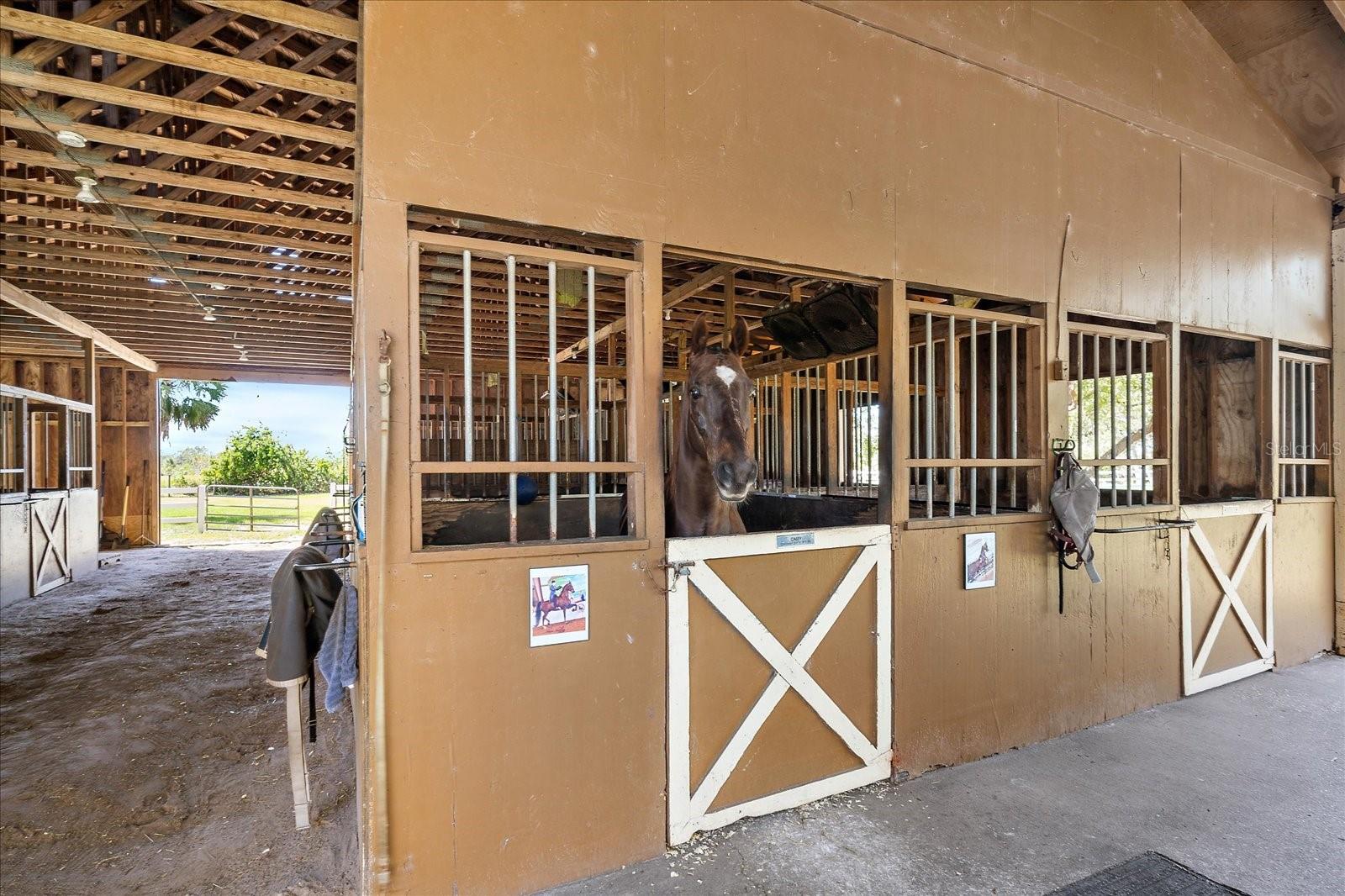 Image 10 of 92 For 8200 Ibis Street