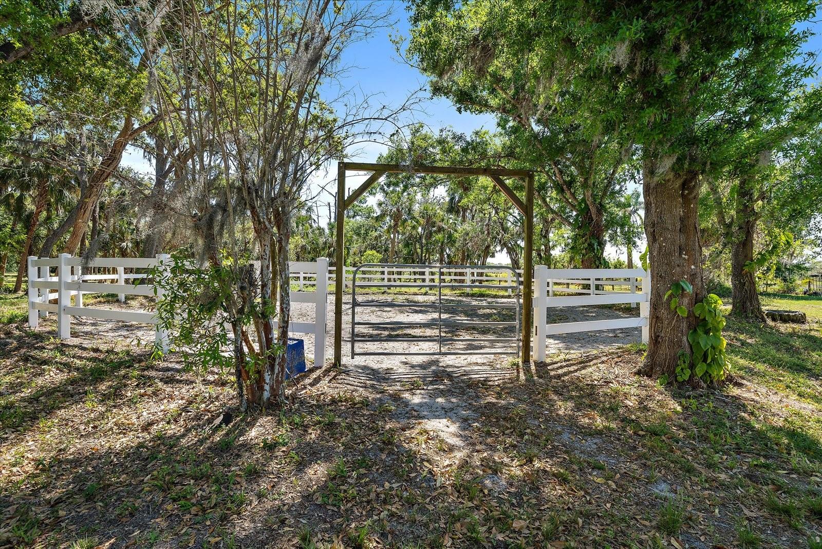 Image 18 of 92 For 8200 Ibis Street