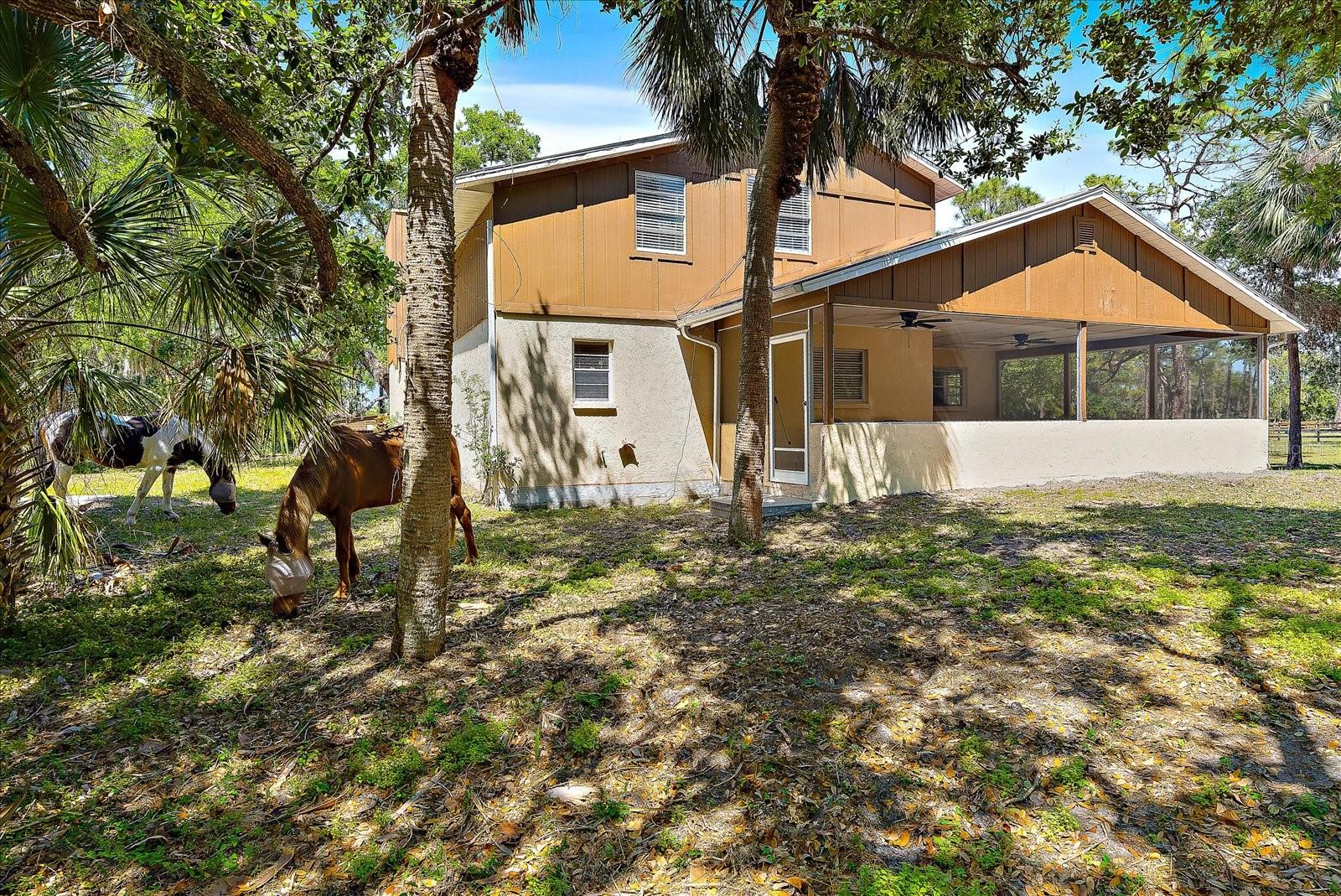 Image 22 of 92 For 8200 Ibis Street