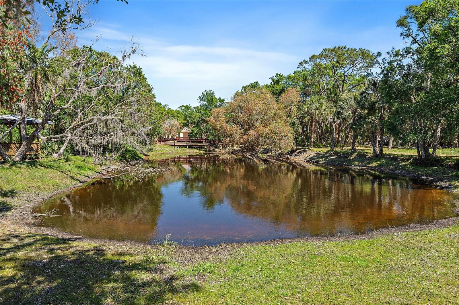 Image 39 of 92 For 8200 Ibis Street