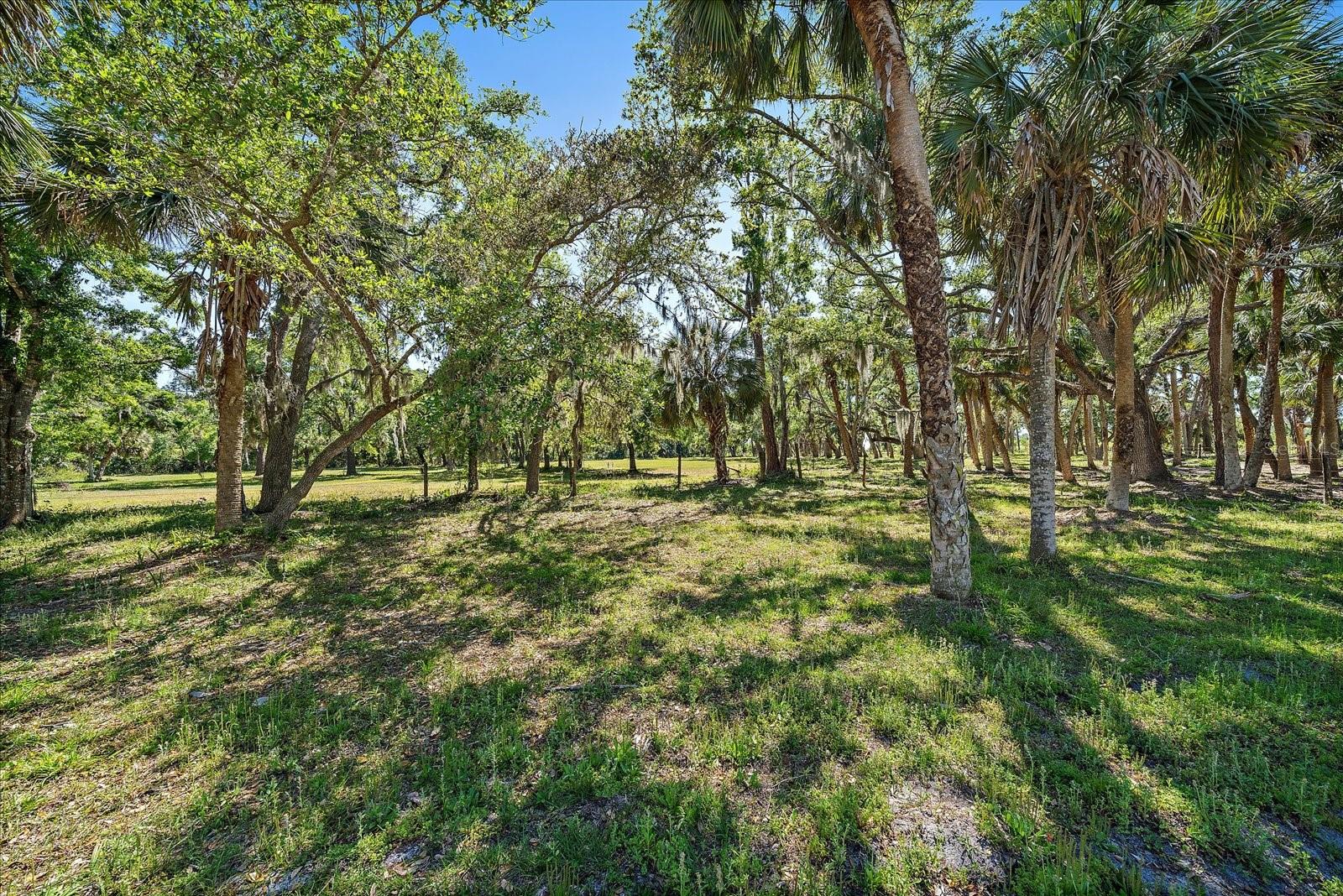 Image 40 of 92 For 8200 Ibis Street