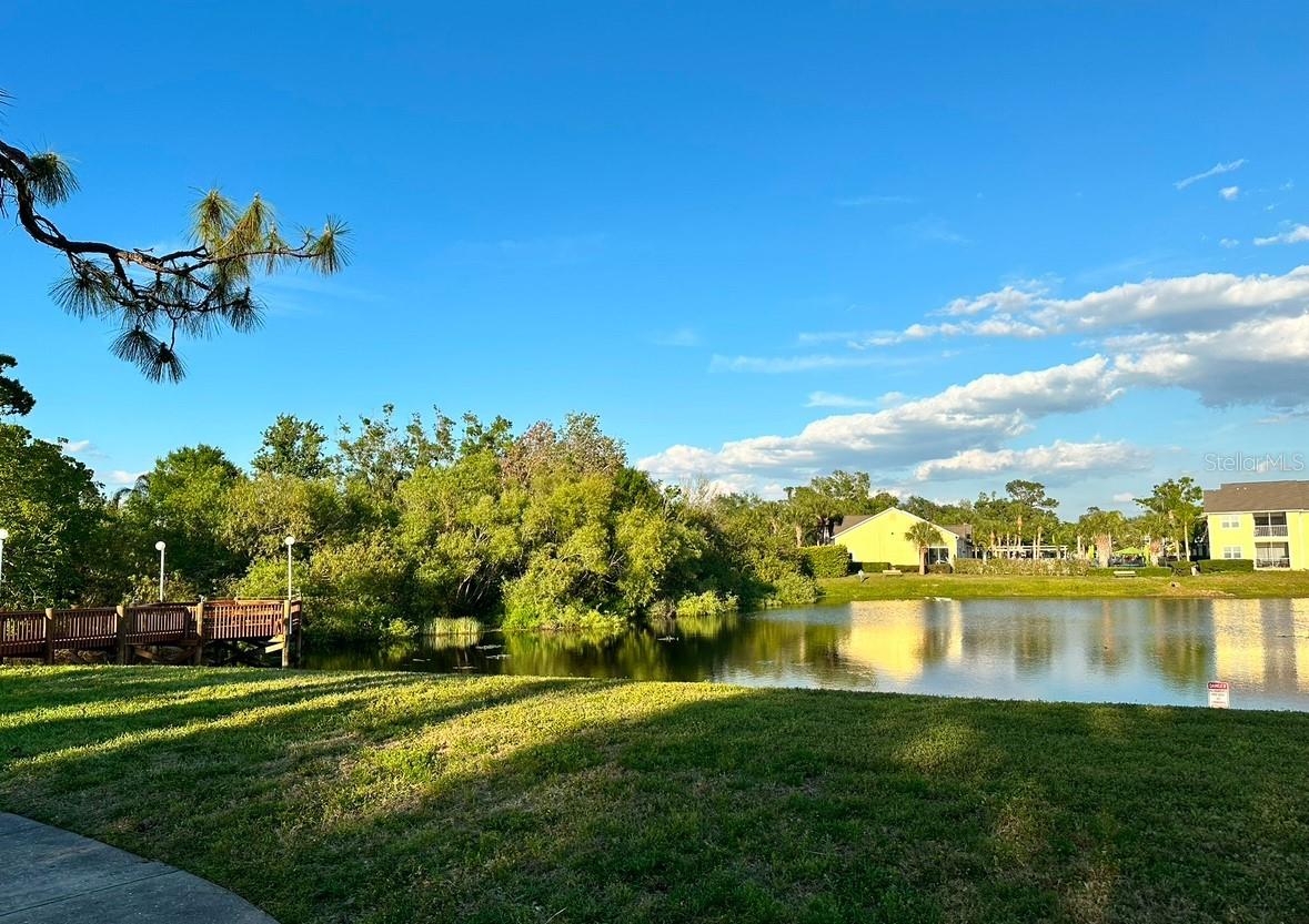Image 24 of 26 For 4005 Crockers Lake Boulevard 11