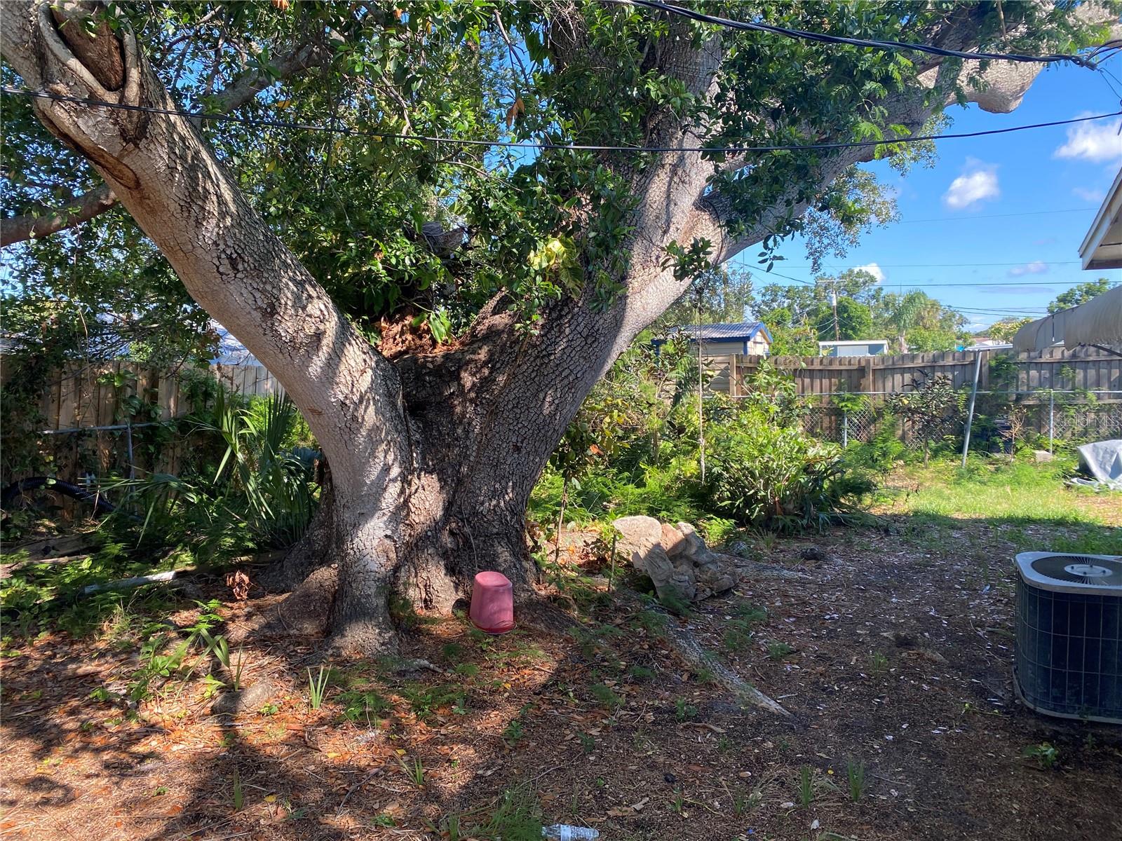 Image 19 of 20 For 6324 Case Avenue