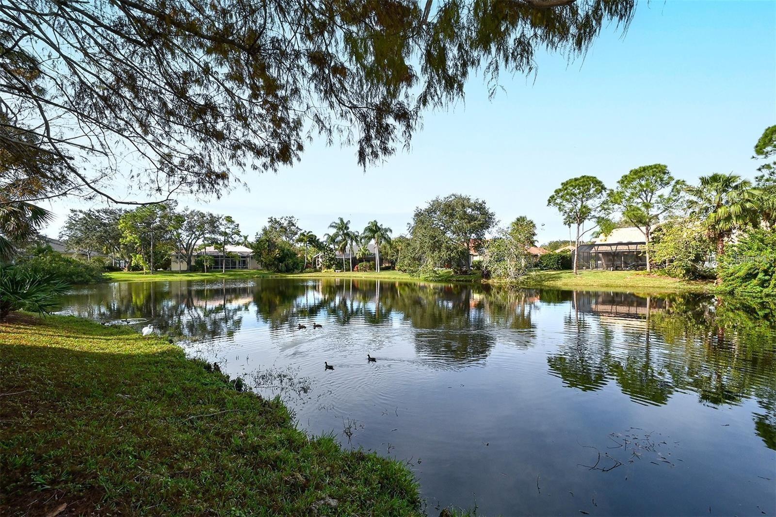 Image 12 of 14 For 3731 Sarasota Square Boulevard 105-d