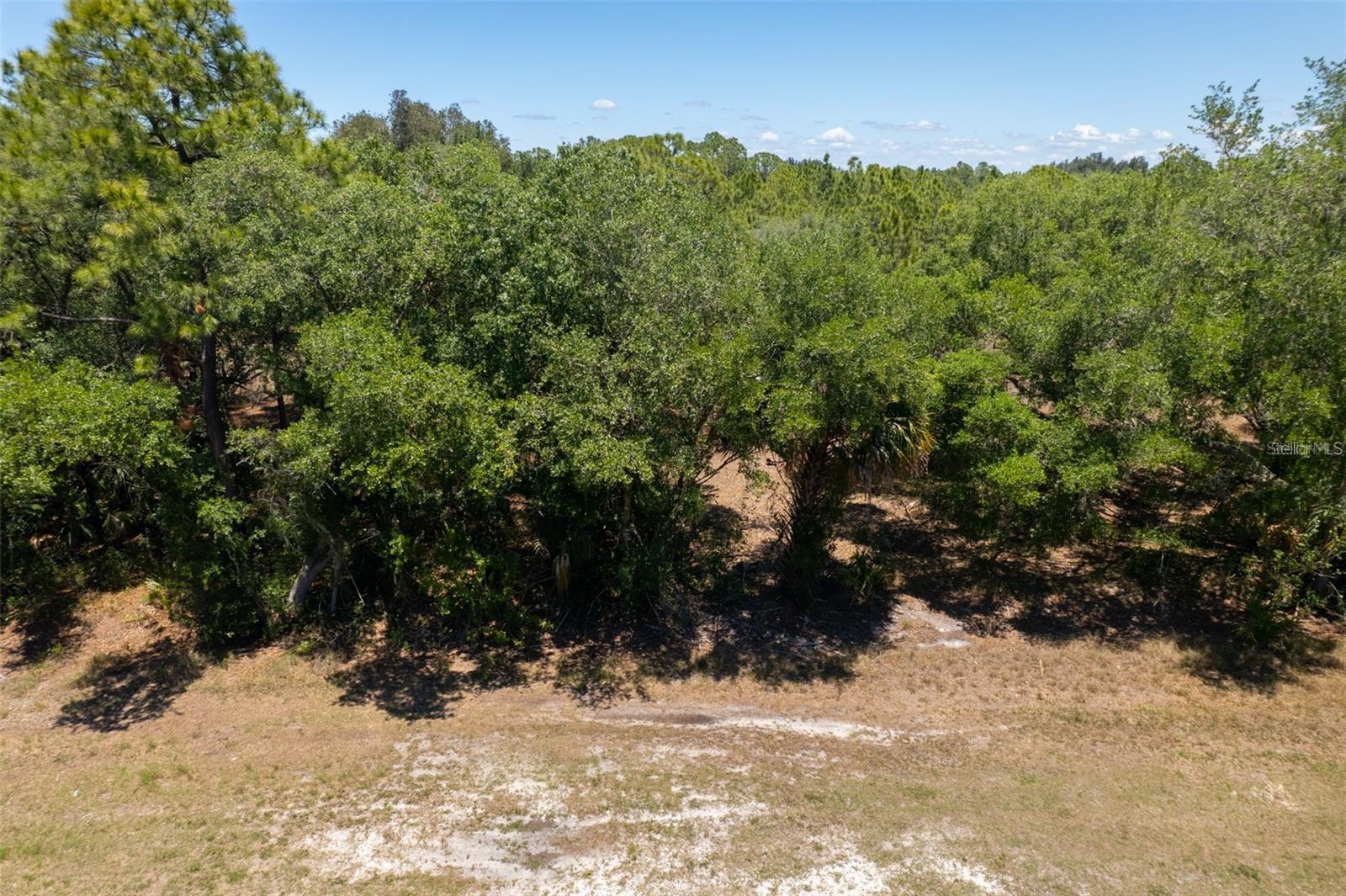 Image 5 of 7 For 28190 Manfred Drive