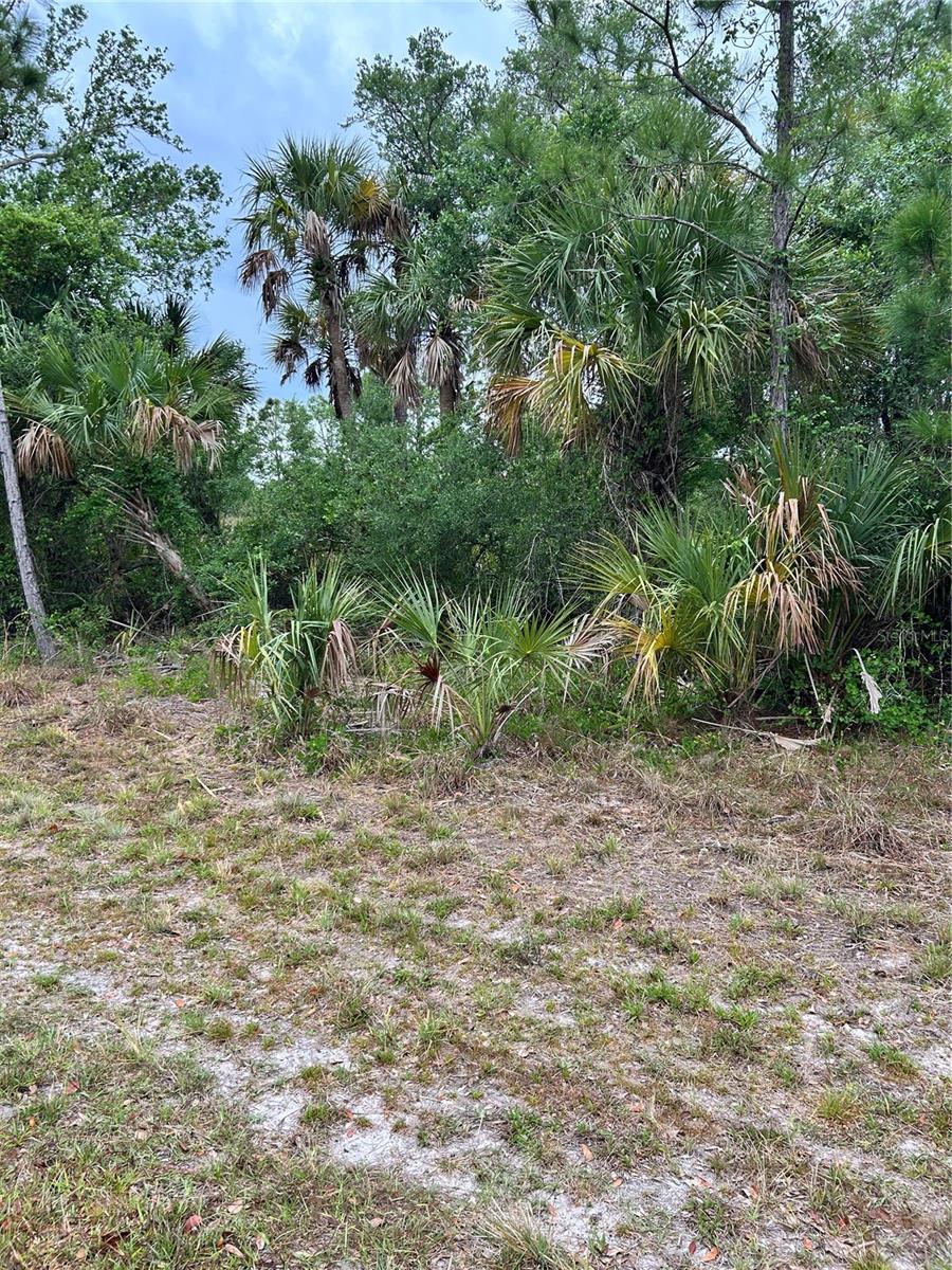 Details for 361 Juper Street, PORT CHARLOTTE, FL 33953