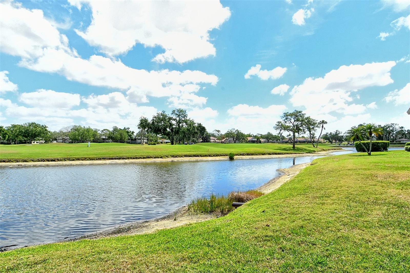 Image 38 of 63 For 7173 Country Club Drive N 141