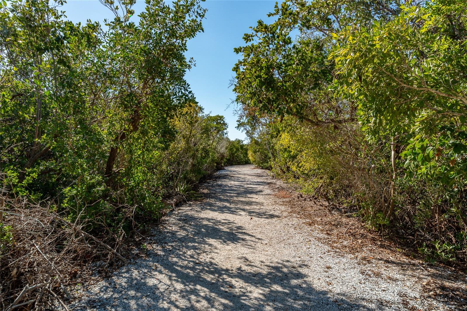 Image 68 of 78 For 1712 Starling Drive 101
