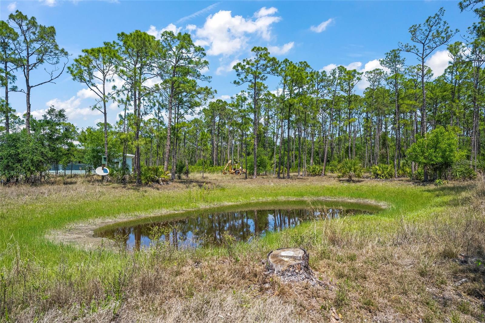 Image 16 of 64 For 6068 Ruff Street