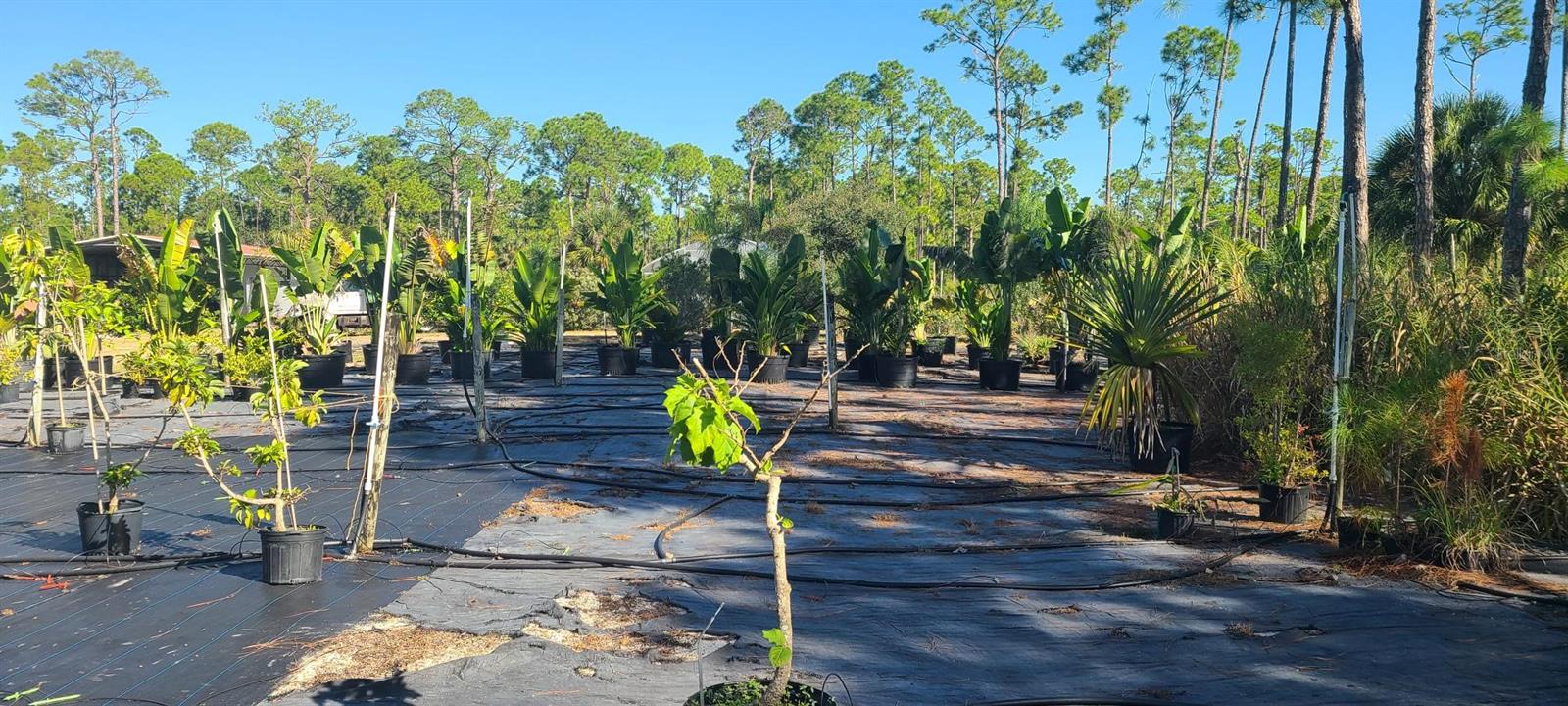 Image 65 of 72 For 6068 Ruff Street