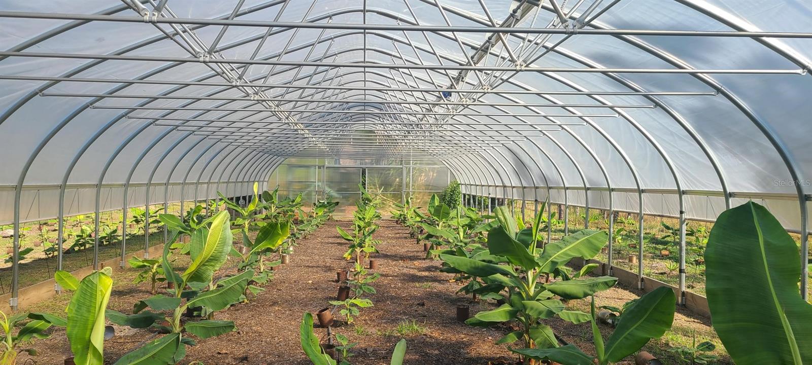 Image 66 of 72 For 6068 Ruff Street