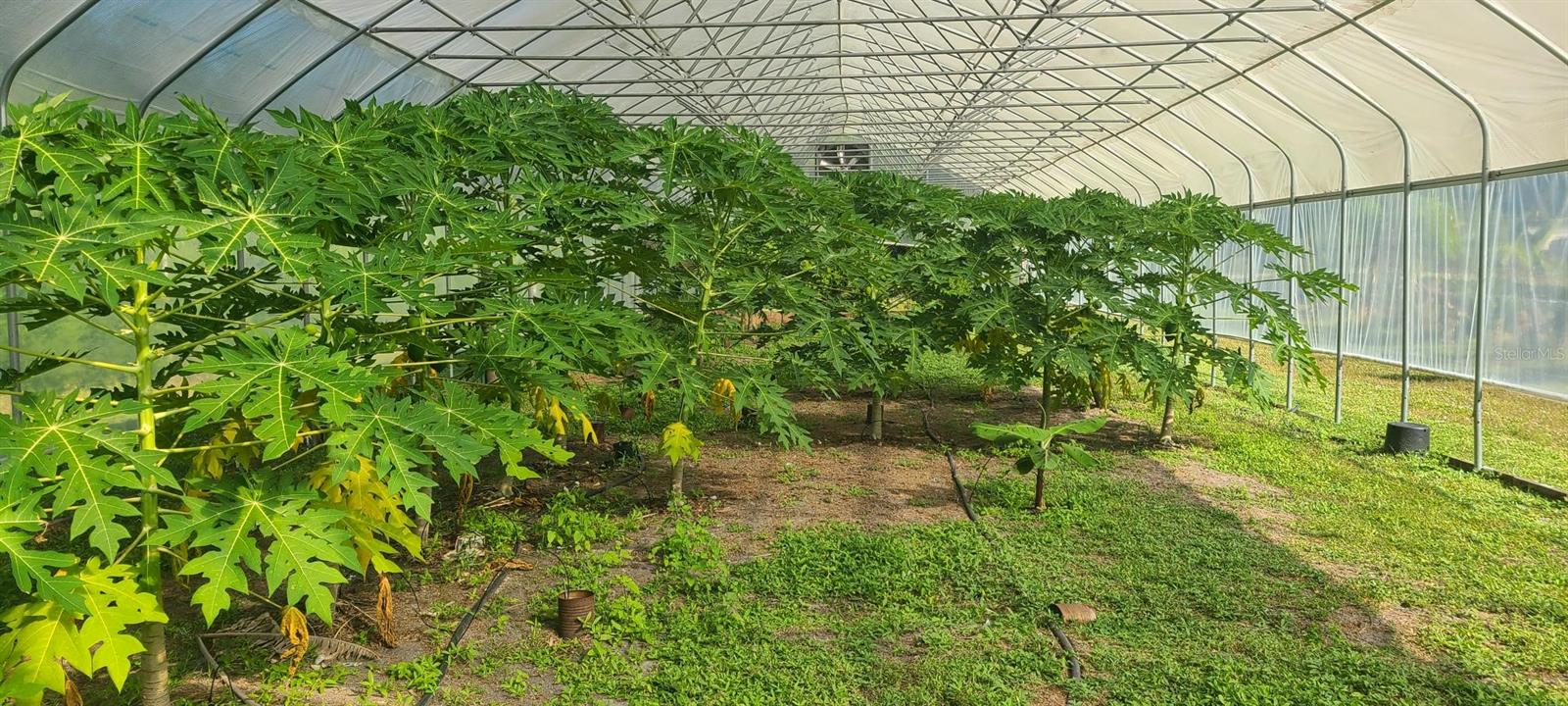 Image 67 of 72 For 6068 Ruff Street