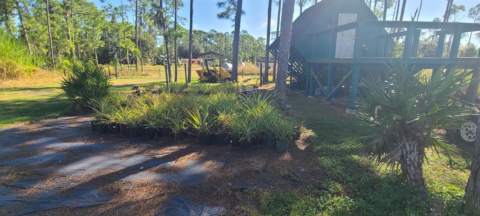 Image 69 of 72 For 6068 Ruff Street