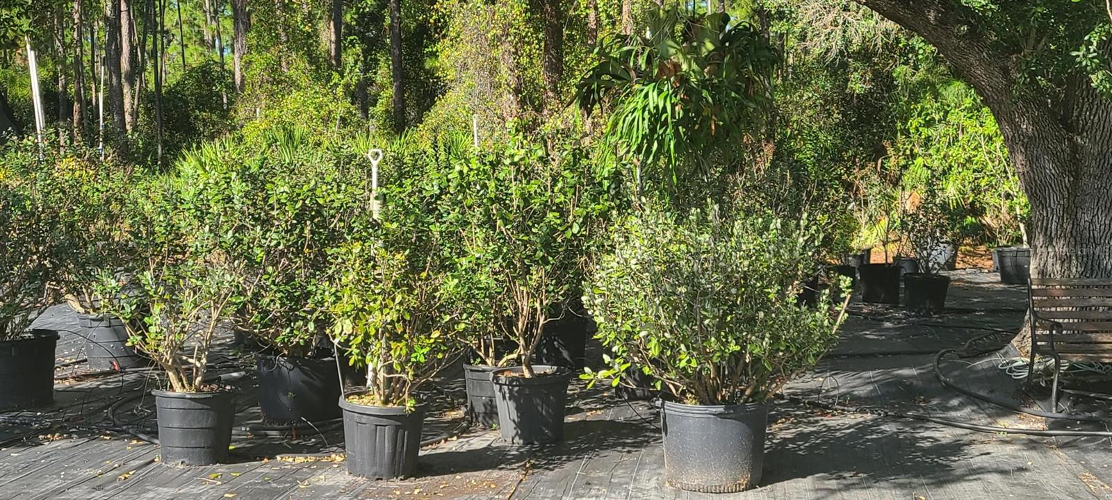 Image 70 of 72 For 6068 Ruff Street