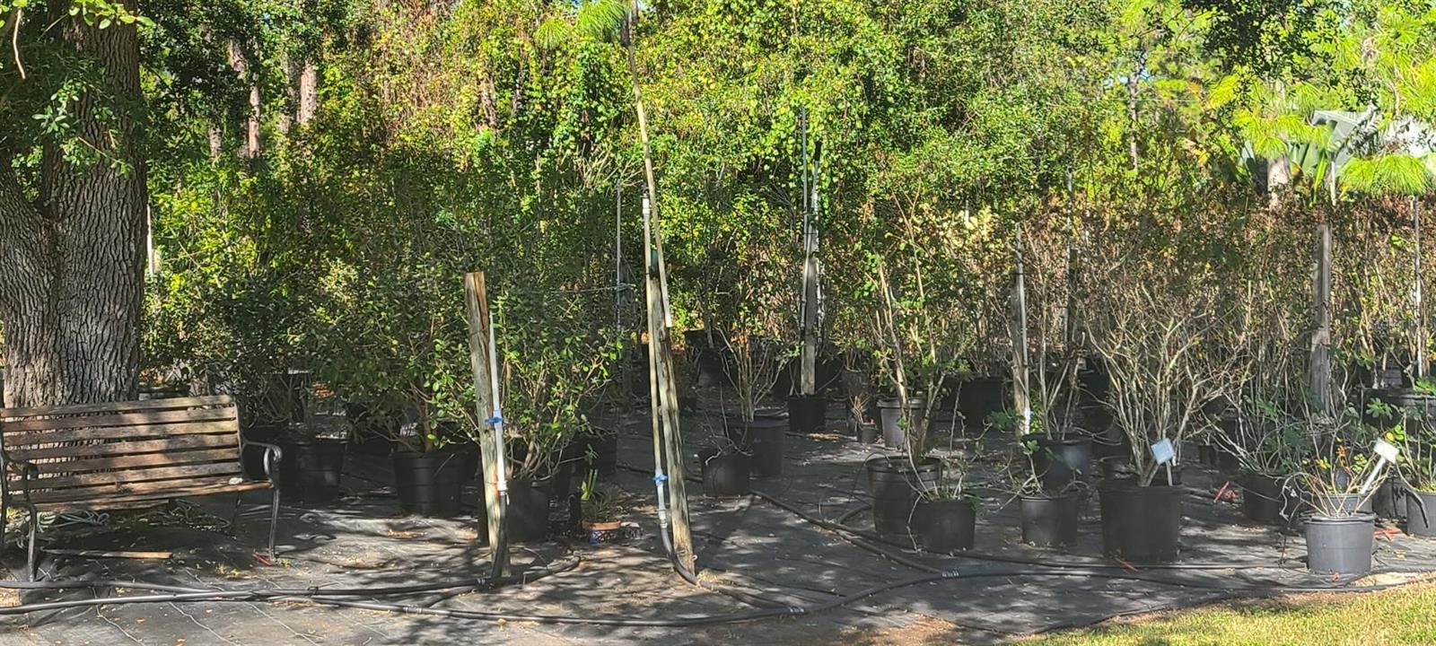 Image 71 of 72 For 6068 Ruff Street