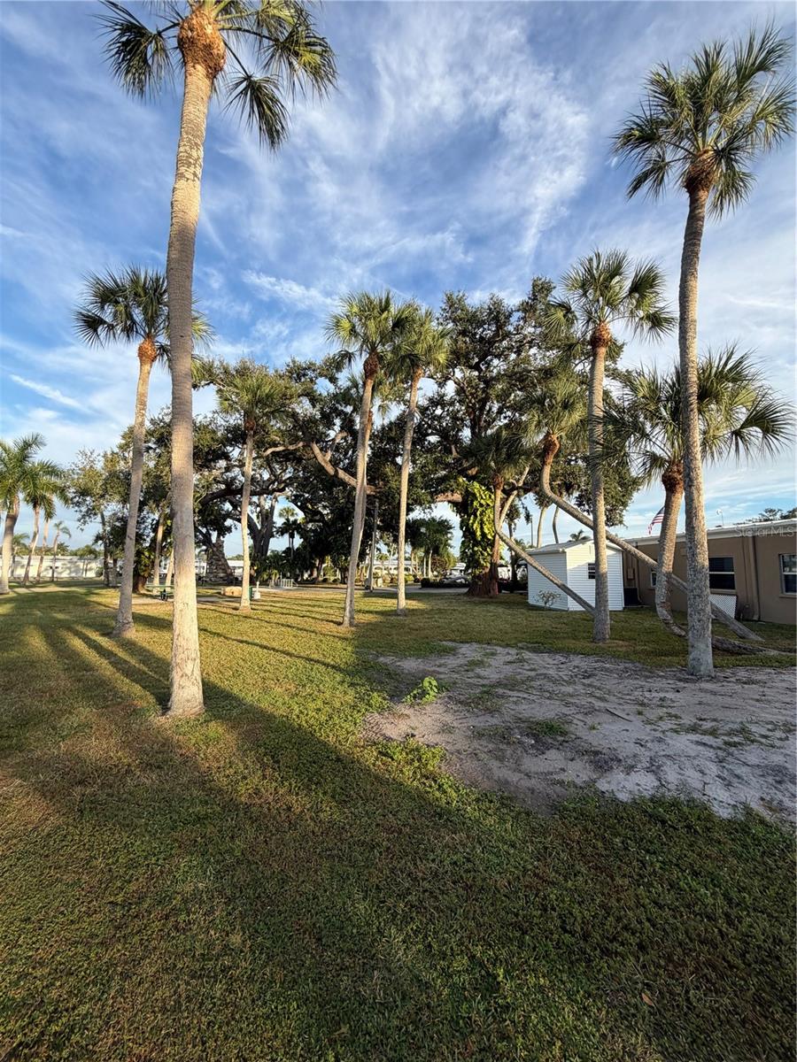 Image 29 of 33 For 5209 4th B Street E