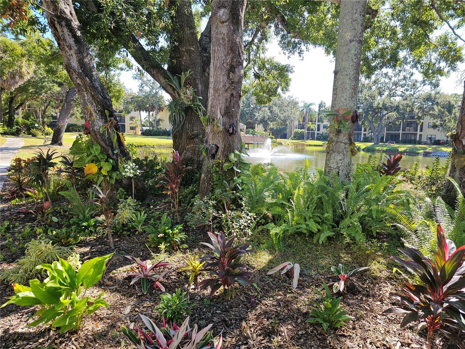 Image 32 of 35 For 425 30th Avenue W C104