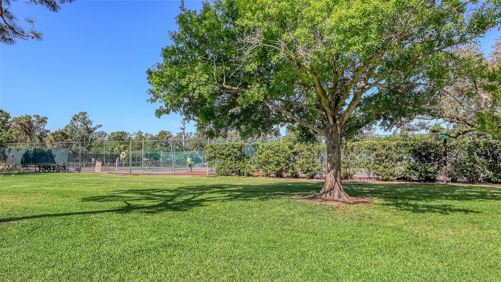 Image 34 of 56 For 811 Oak Drive 811
