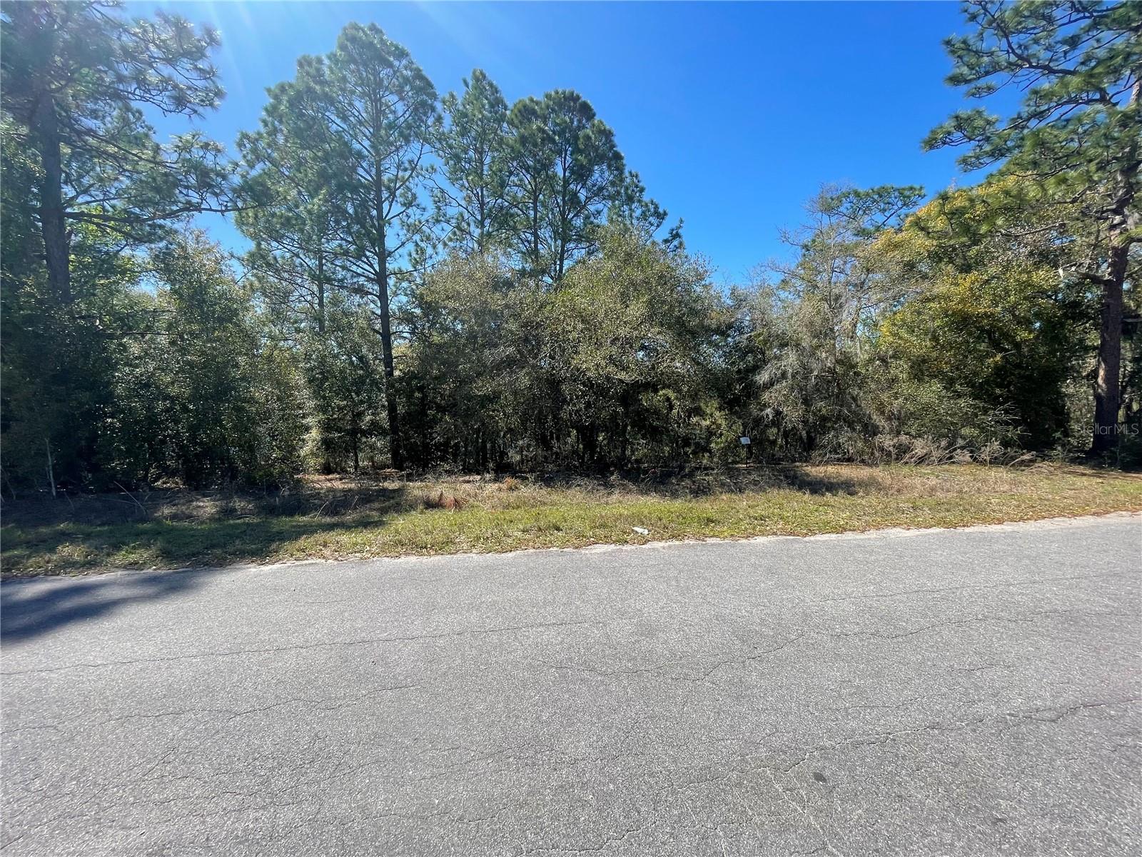 Details for Lot 17 Malauka Loop, OCKLAWAHA, FL 32179
