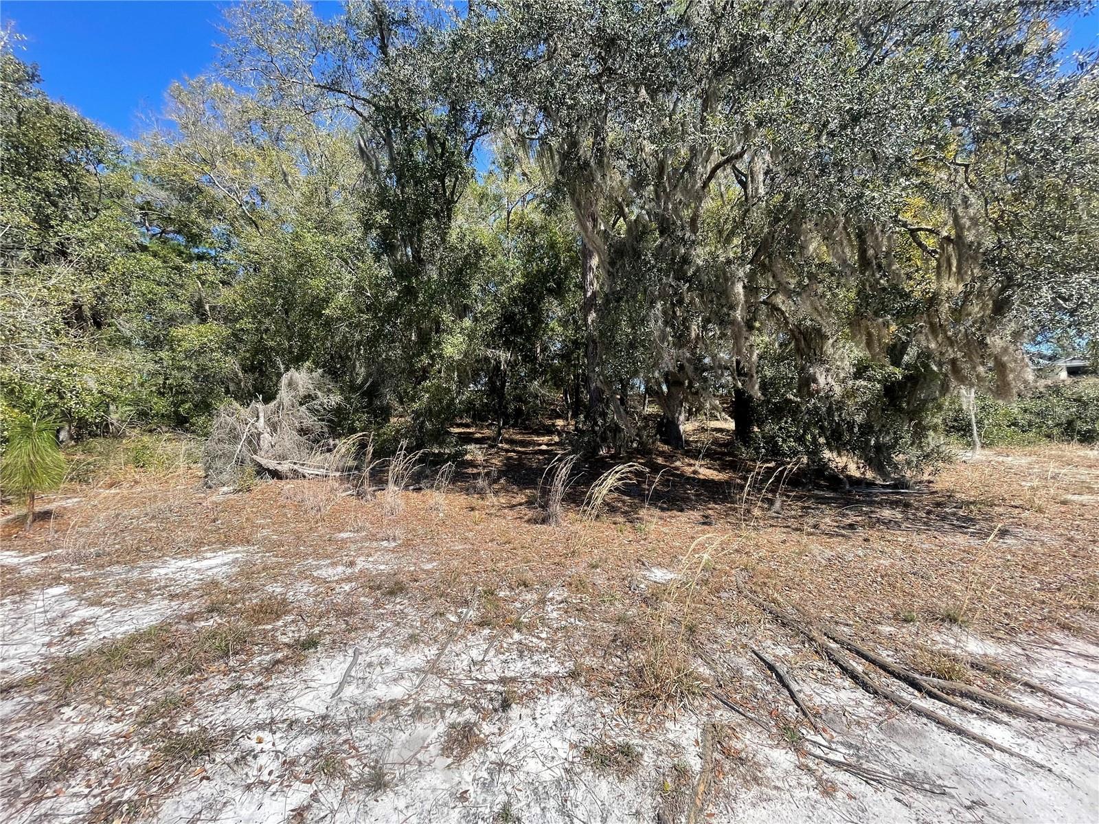 Image 2 of 6 For Lot 17 Malauka Loop