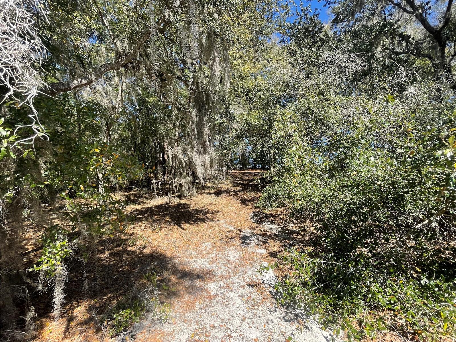 Image 3 of 6 For Lot 17 Malauka Loop