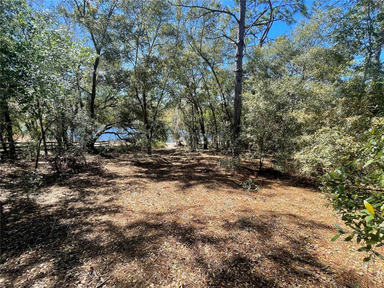 Image 5 of 6 For Lot 17 Malauka Loop