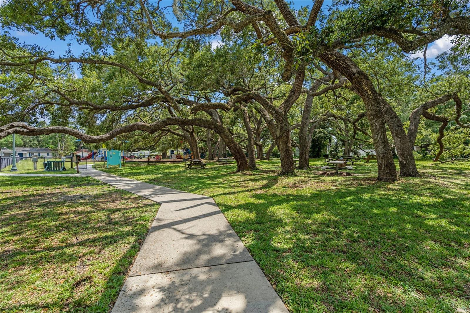Image 40 of 57 For 2124 Wisteria Street
