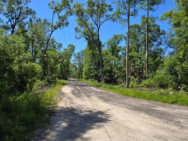 Image 39 of 39 For 335 Yearling Road