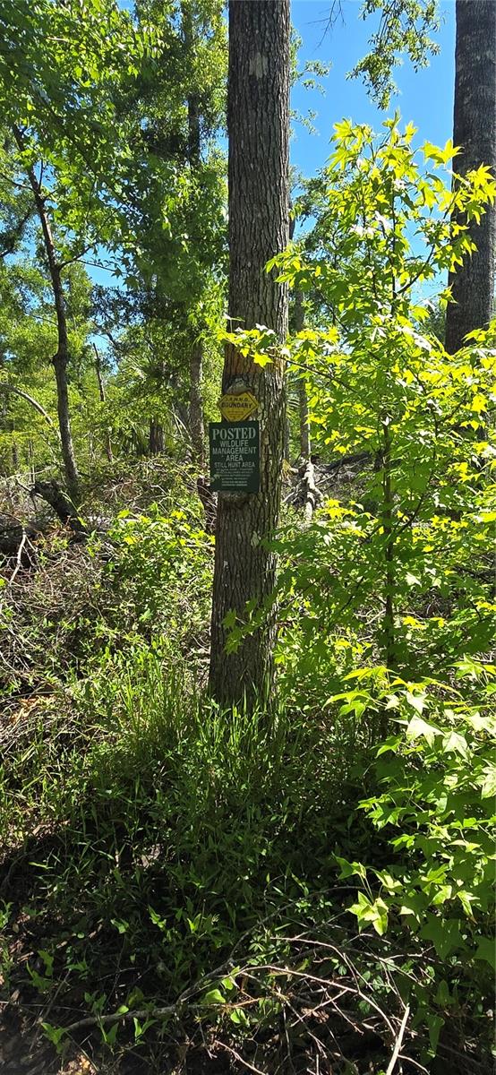 Image 4 of 39 For 335 Yearling Road