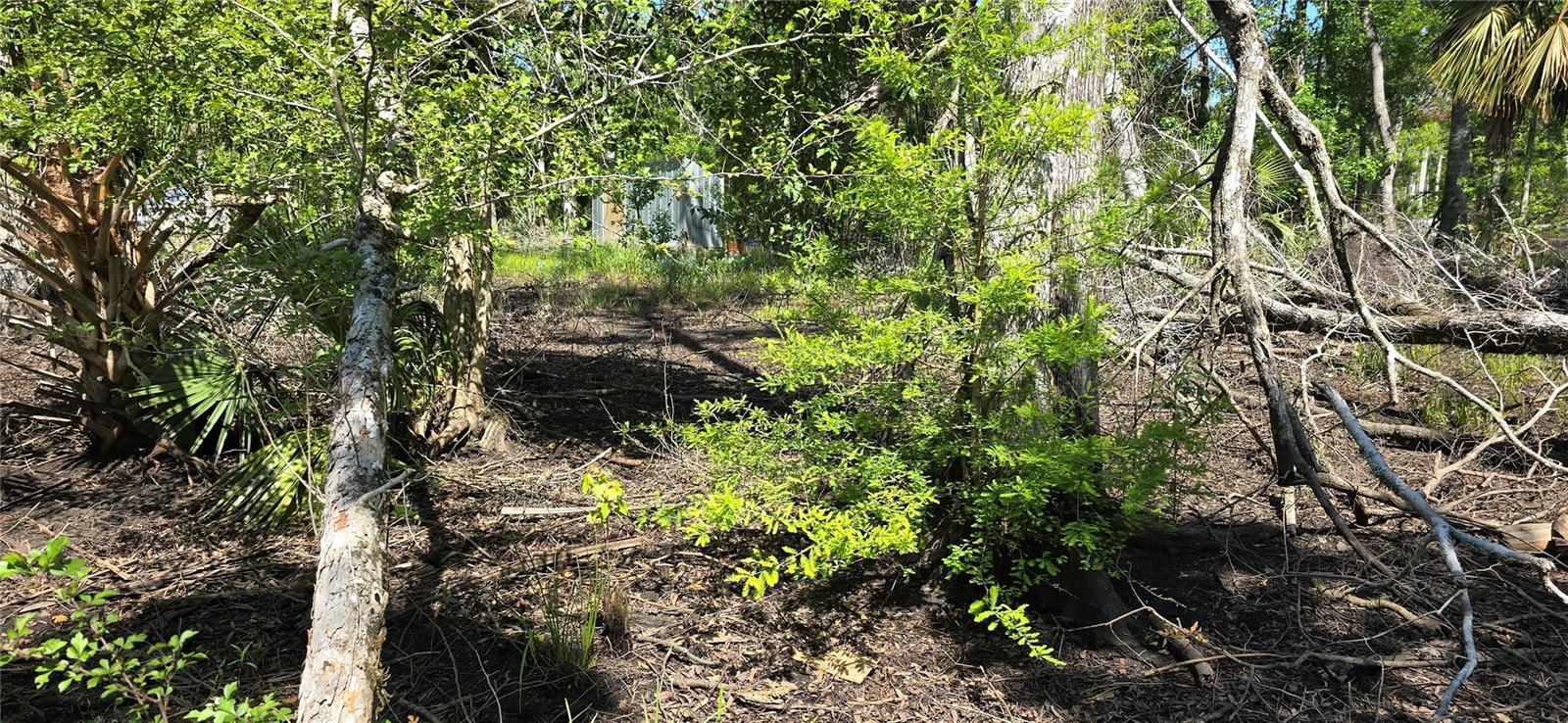 Image 8 of 39 For 335 Yearling Road