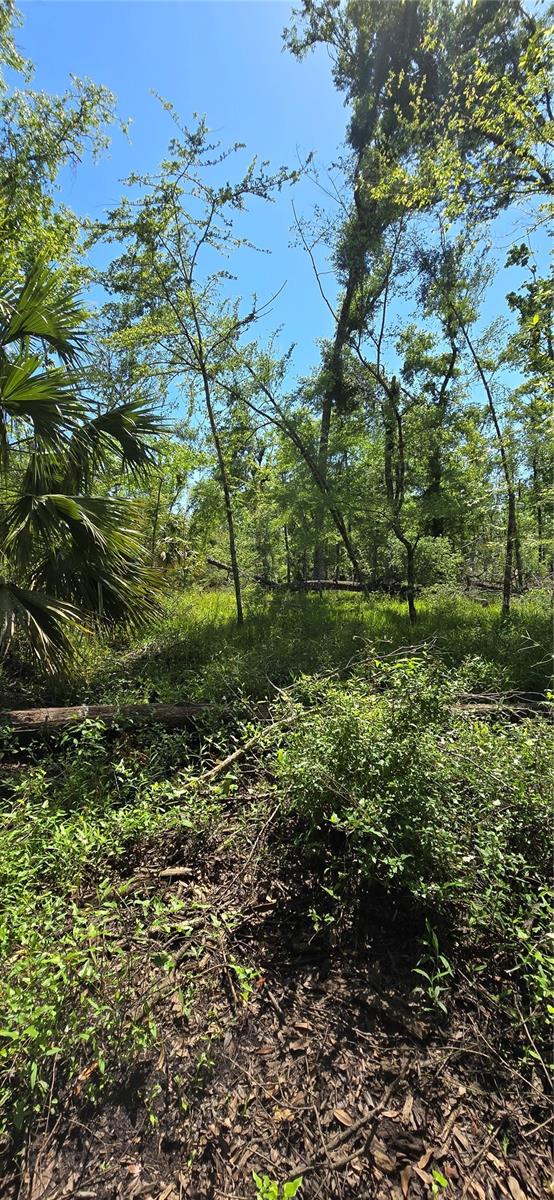 Image 9 of 39 For 335 Yearling Road